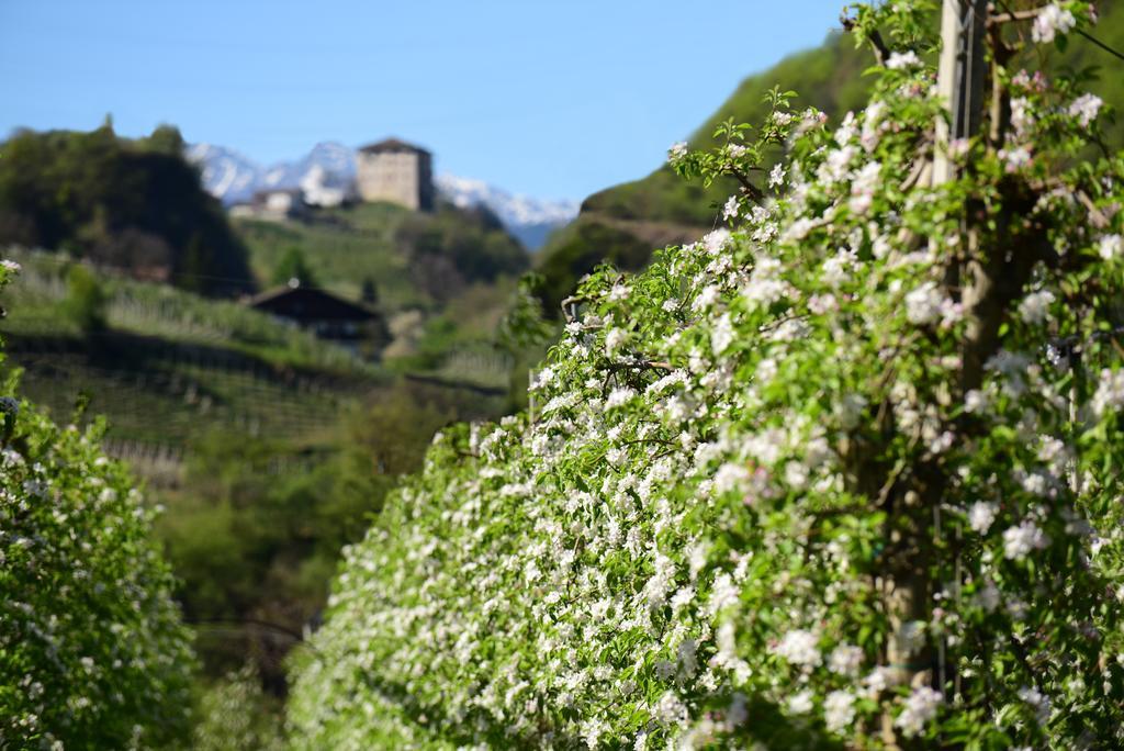 Pension Stamserhof นาลเลส ภายนอก รูปภาพ