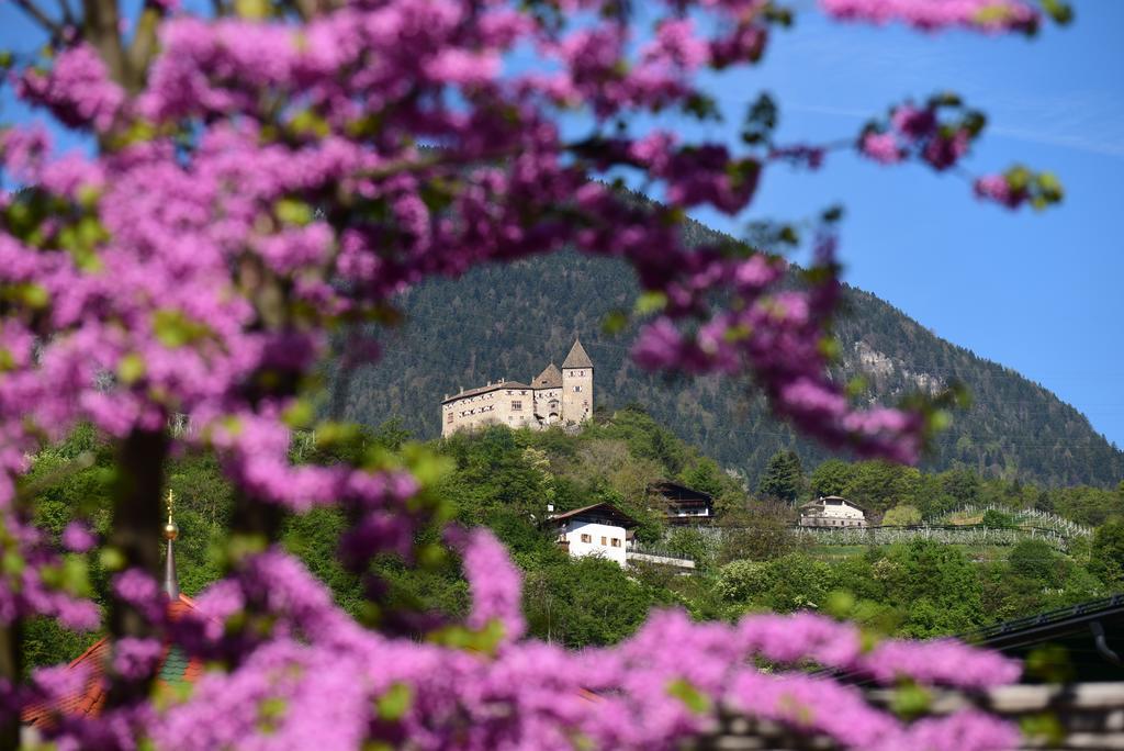 Pension Stamserhof นาลเลส ภายนอก รูปภาพ