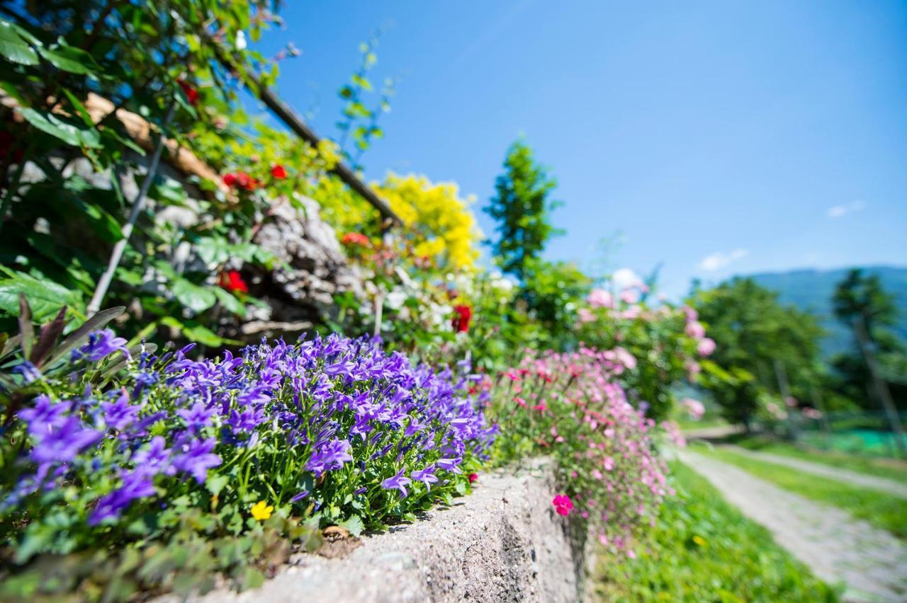 Pension Stamserhof นาลเลส ภายนอก รูปภาพ
